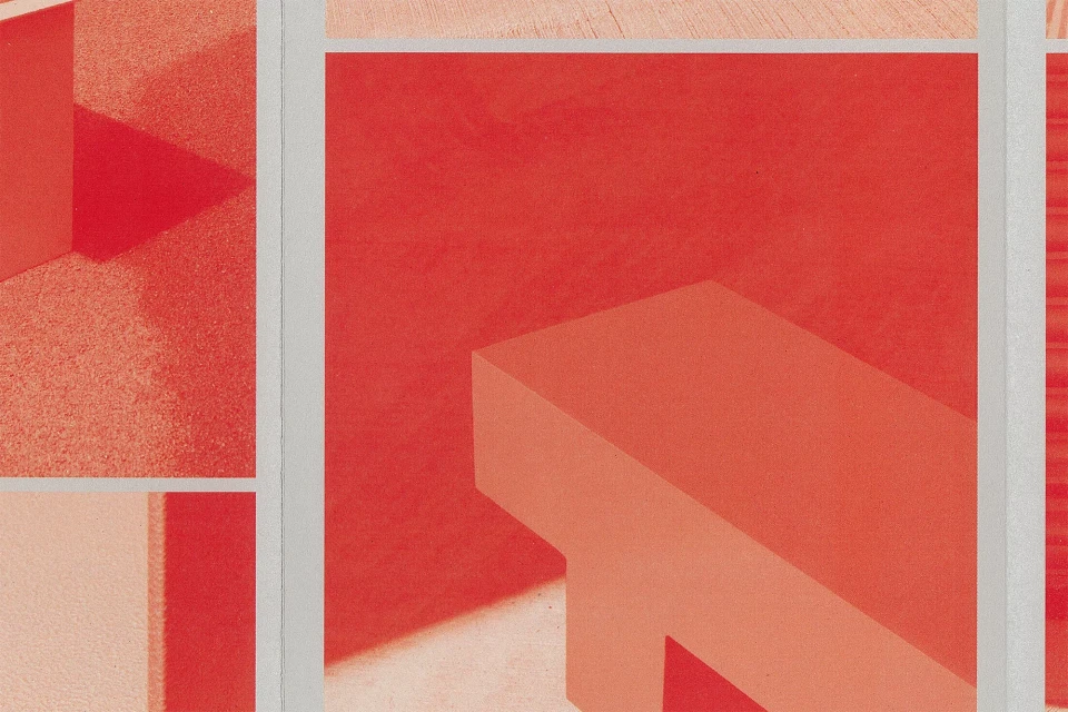 Brand Identity
