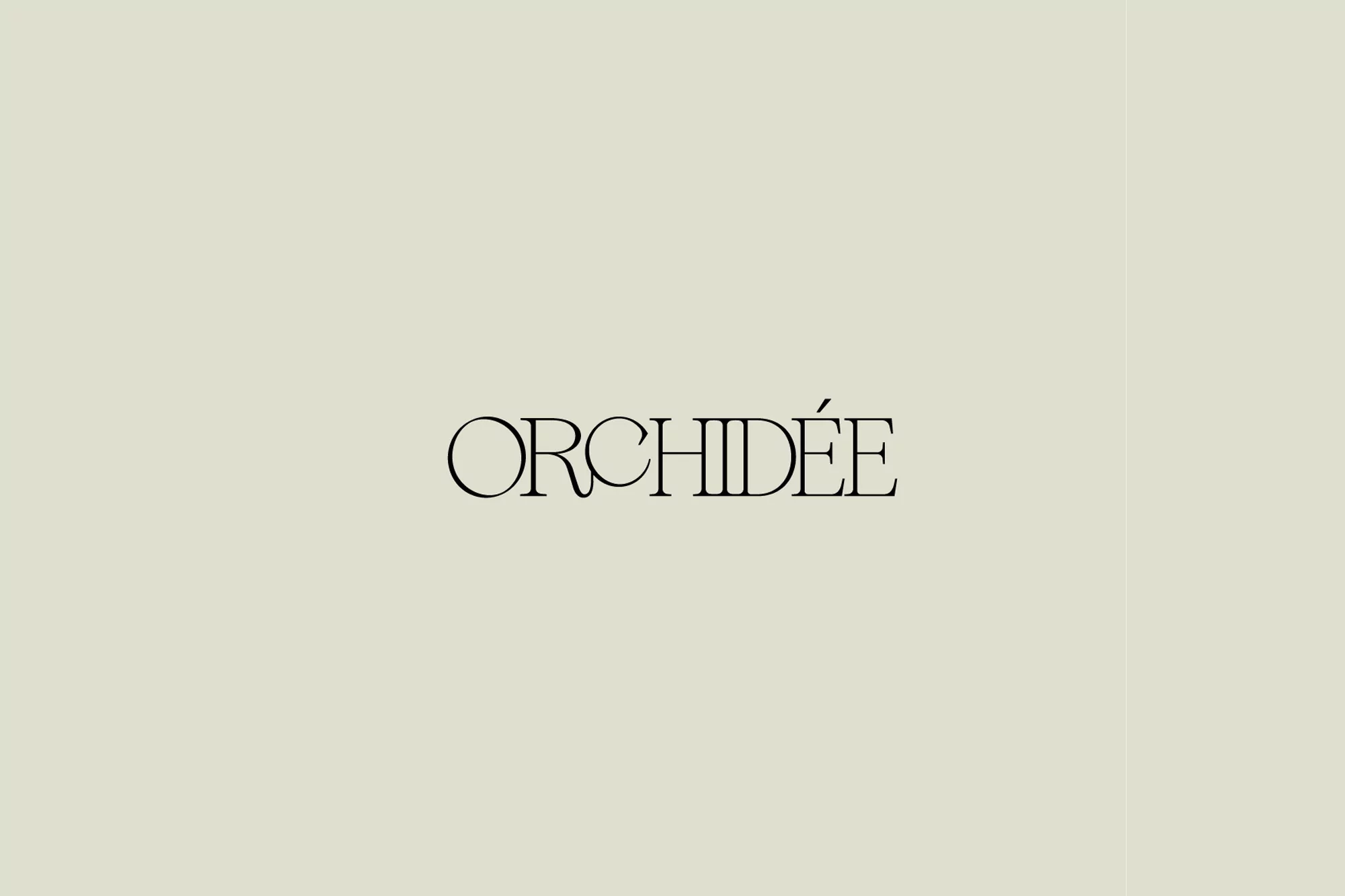Elegant logo with the word Orchidée in a stylized black font against a light cream-colored backdrop, conveying sophistication and simplicity.