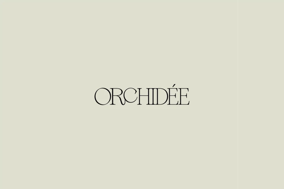 Brand Identity