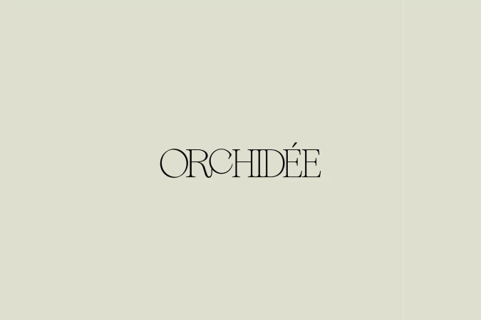 Brand Identity