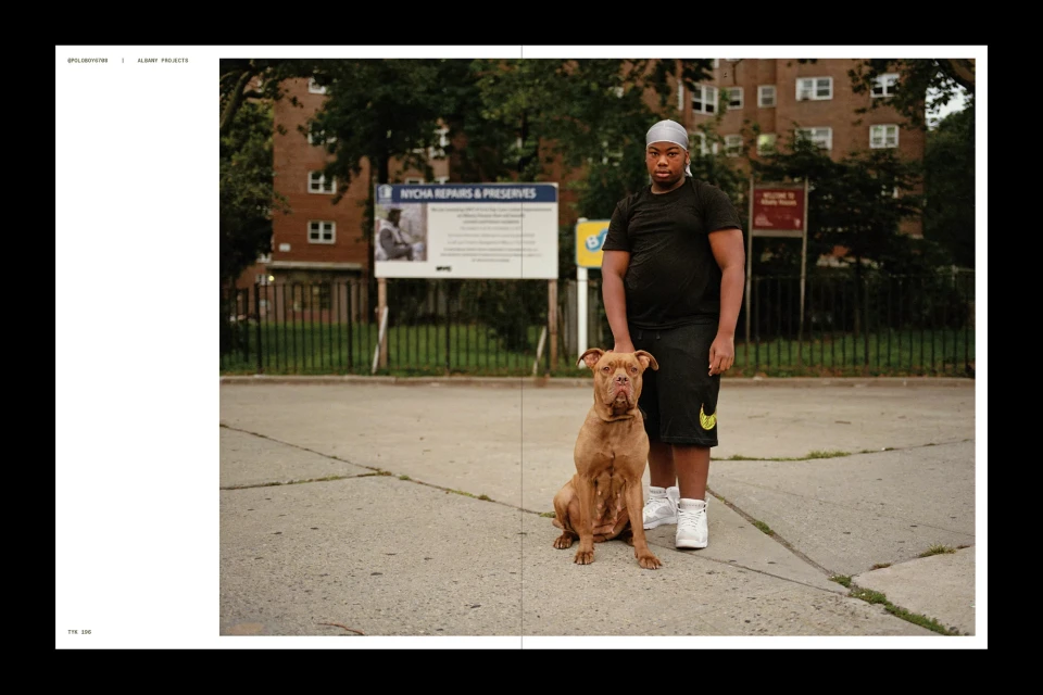 Young man in black t-shirt poses with a brown pitbull dog on a city street with buildings and green trees in the background.