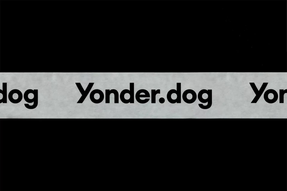 Brand Identity