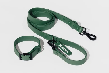 Green dog leash and collar with black hardware laid out neatly on a clean white background