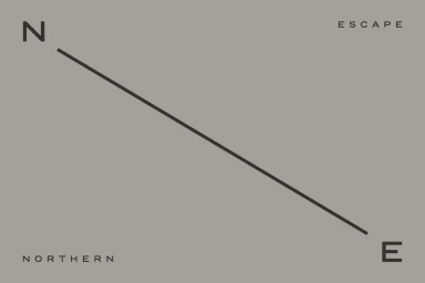 Minimalist brand identity layout with a diagonal line separating the letters N and E against a solid grey background