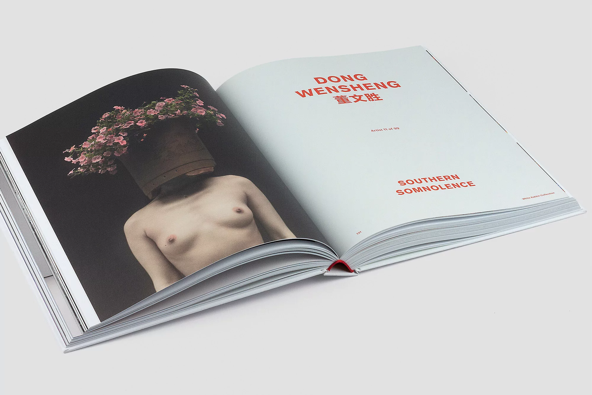 Open book featuring a photo of a person with a flower pot on their head and red text on the opposite page.