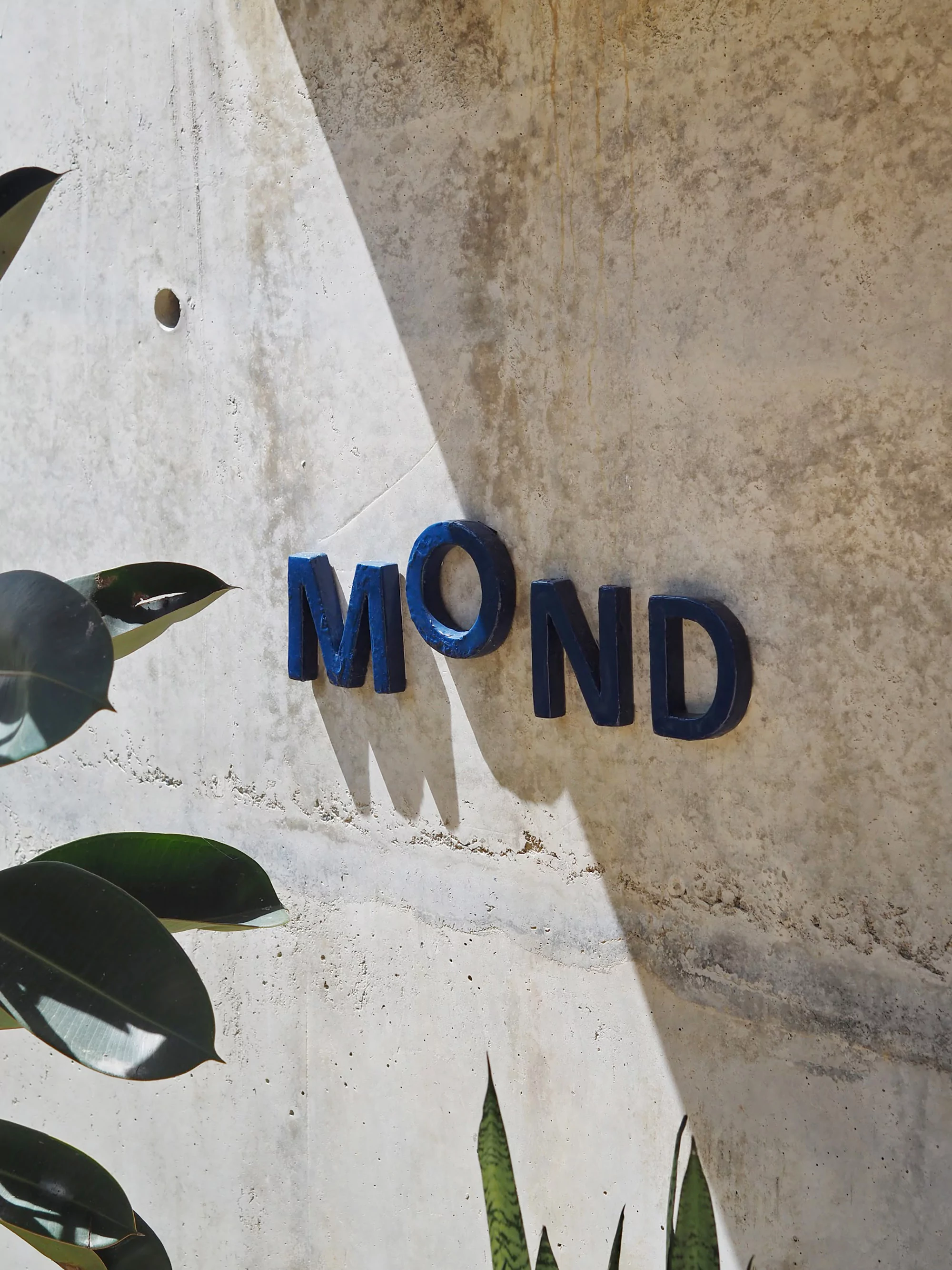 Close-up of a concrete wall with the word 'MOND' in dark blue capital letters, set against a background of leaves and patterned shadows.