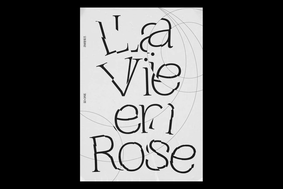 Typography-focused image showcasing the text 'La Vie en Rose' in a stylized black font, complemented by faint circular line art accents.