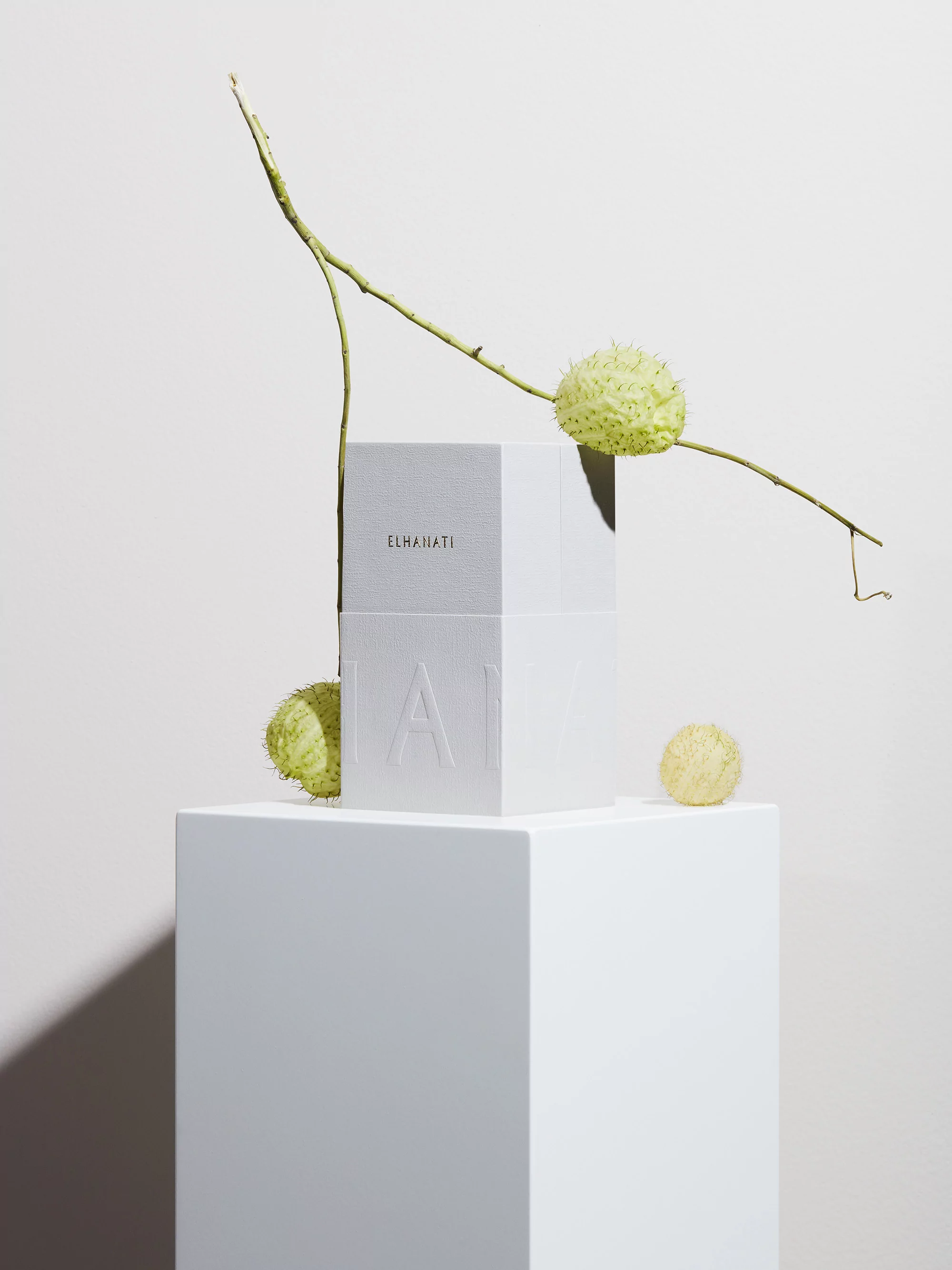 Stacked square boxes with 'EL RABATI' and 'A1' logos, adorned with green seed pods on a white cube pedestal against a neutral background.
