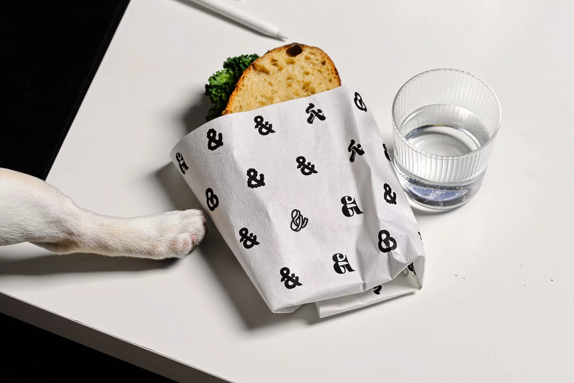 Sandwich with greens in patterned paper, water glass, dog paw on white table, offering a modern, minimalist food presentation.