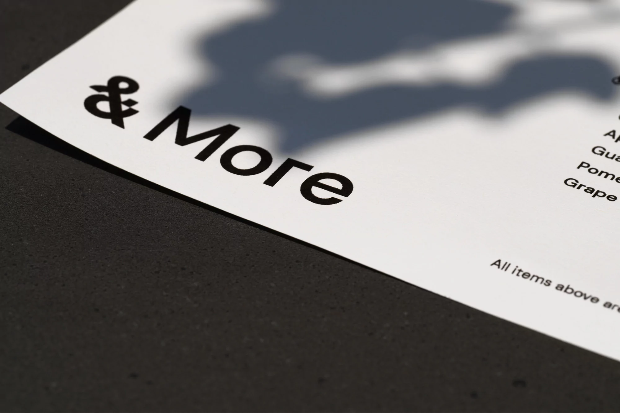 High-contrast image of a white sheet of paper with the text '& More' in bold, black font on a dark grey surface with shadow overlay.
