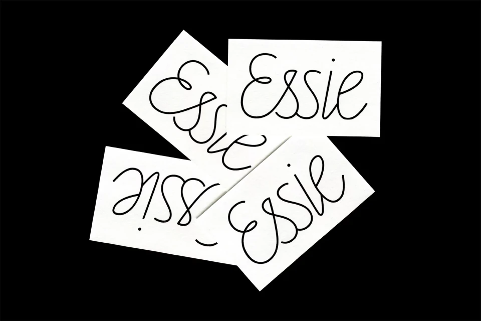 Brand Identity