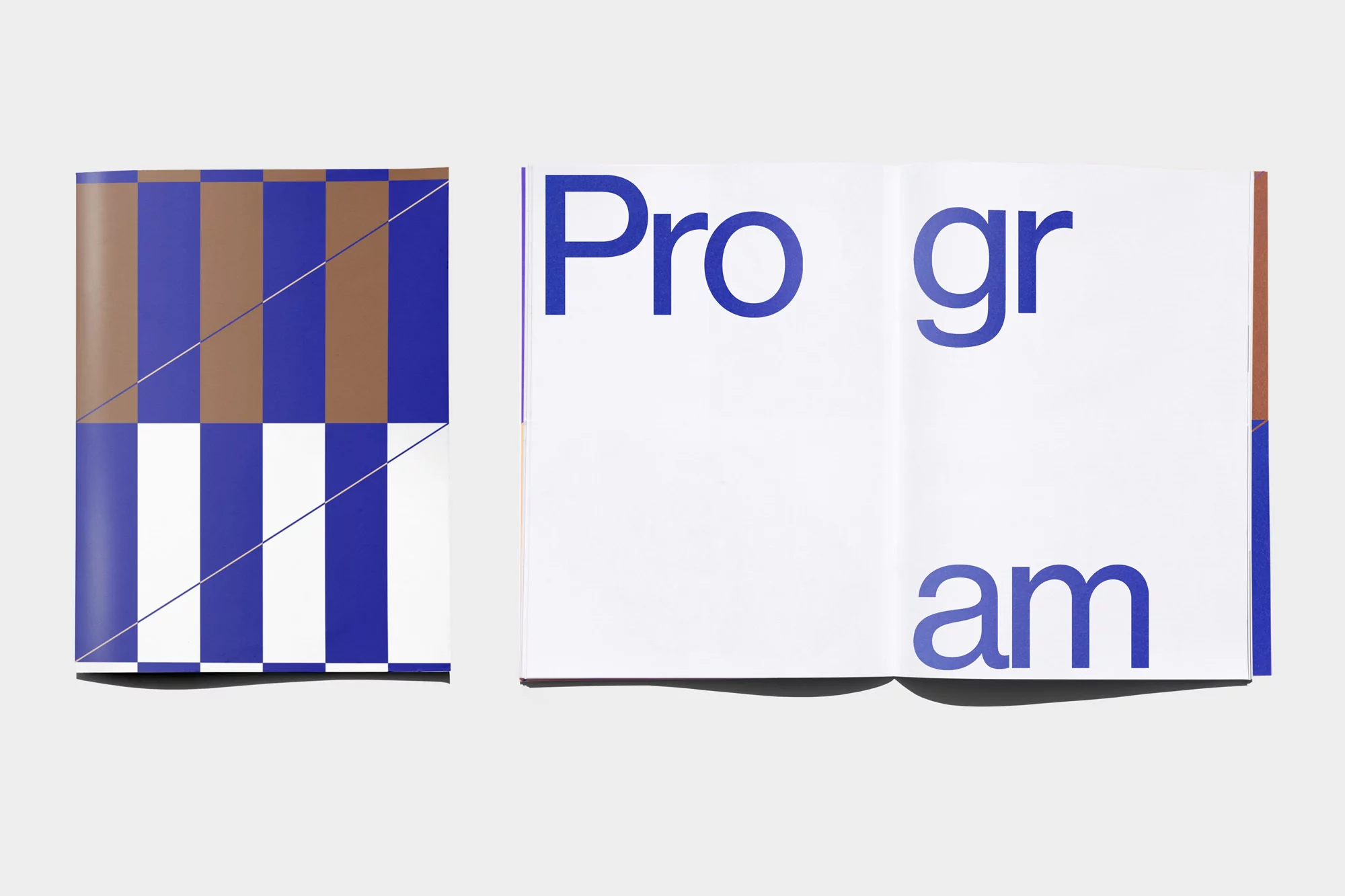 Open book with a geometric pattern on the cover and the word 'Program' in bold blue letters displayed on an off-white background.
