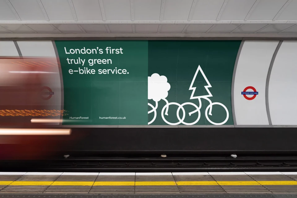 Brand Identity