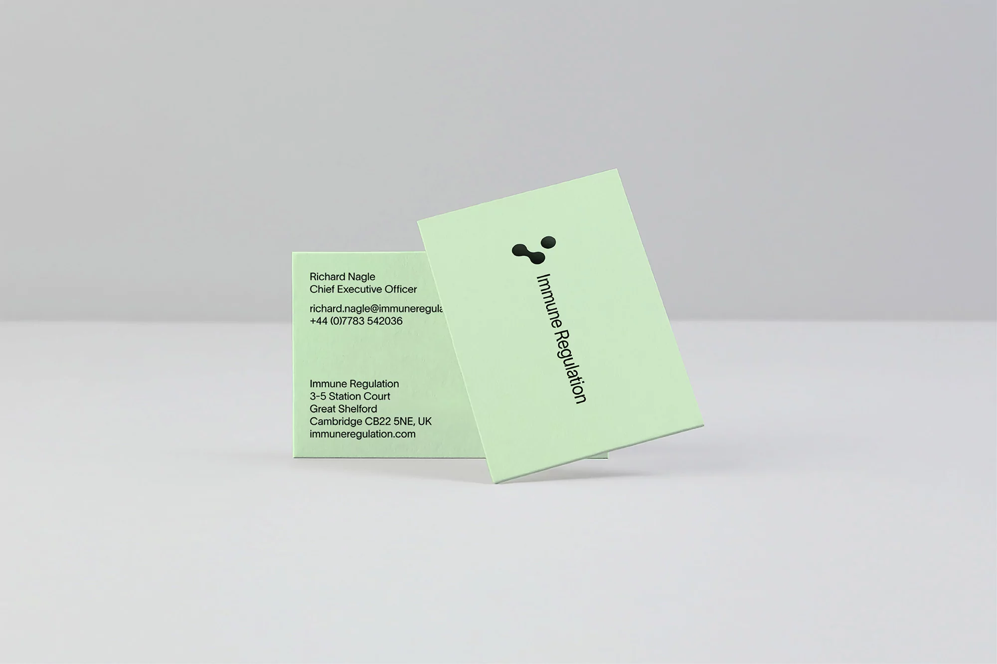 Two light-green business cards, one upright and one angled, display company and contact information on a light grey surface.