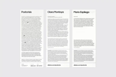 Three vertical white panels displaying typography and descriptive text in black for the Postcrisis brand identity project.
