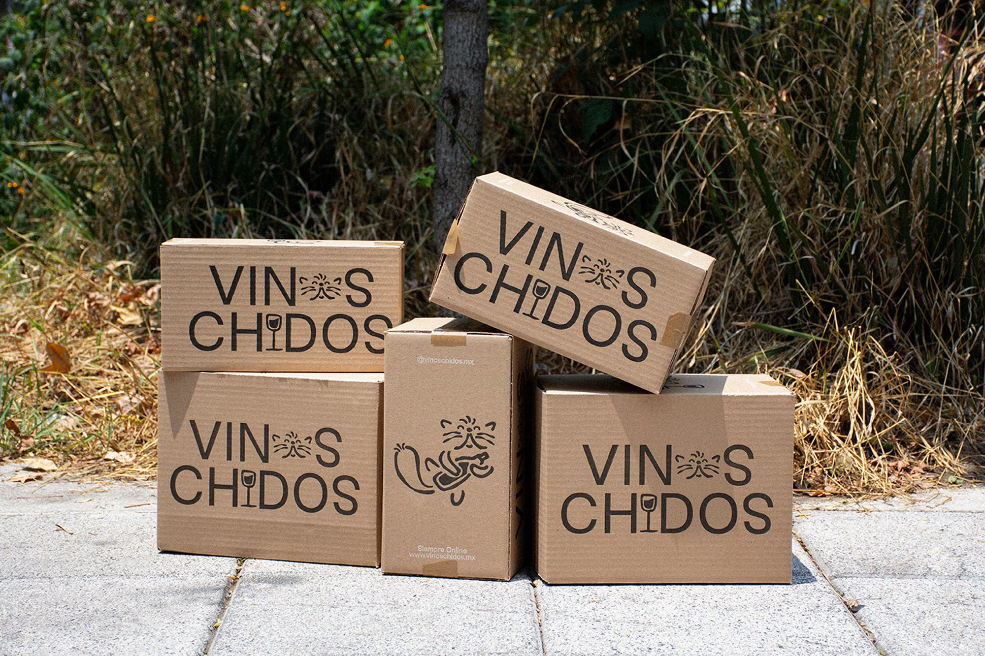 Five cardboard boxes, stacked outdoors, feature the text 'VINOS CHIDOS' and a logo, suggesting a delivery or promotional display.