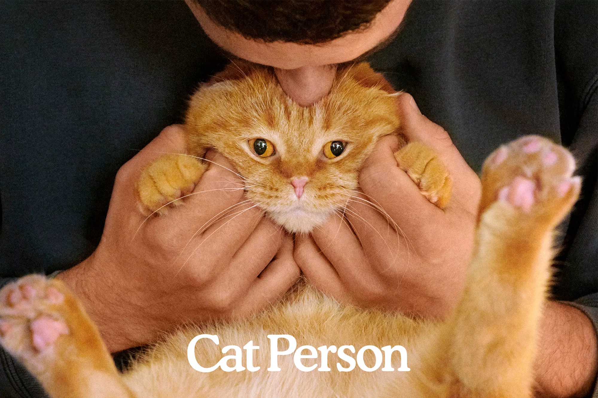 A person holding a fluffy ginger tabby cat with both hands, pink paw pads visible, in an indoor setting, with text overlay.