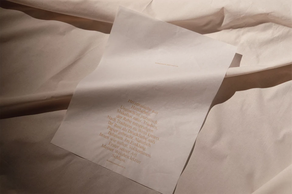 Brand Identity