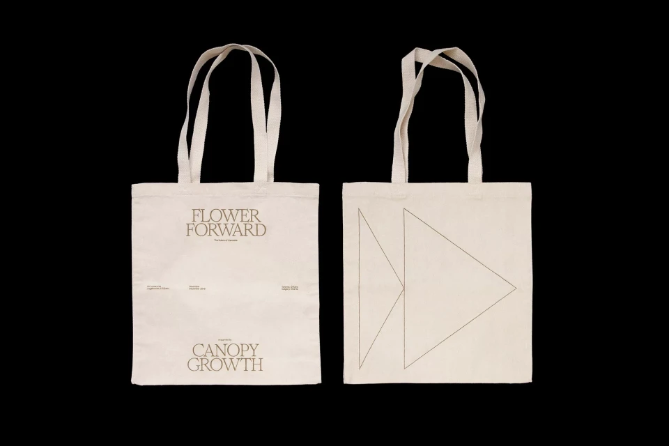 Brand Identity