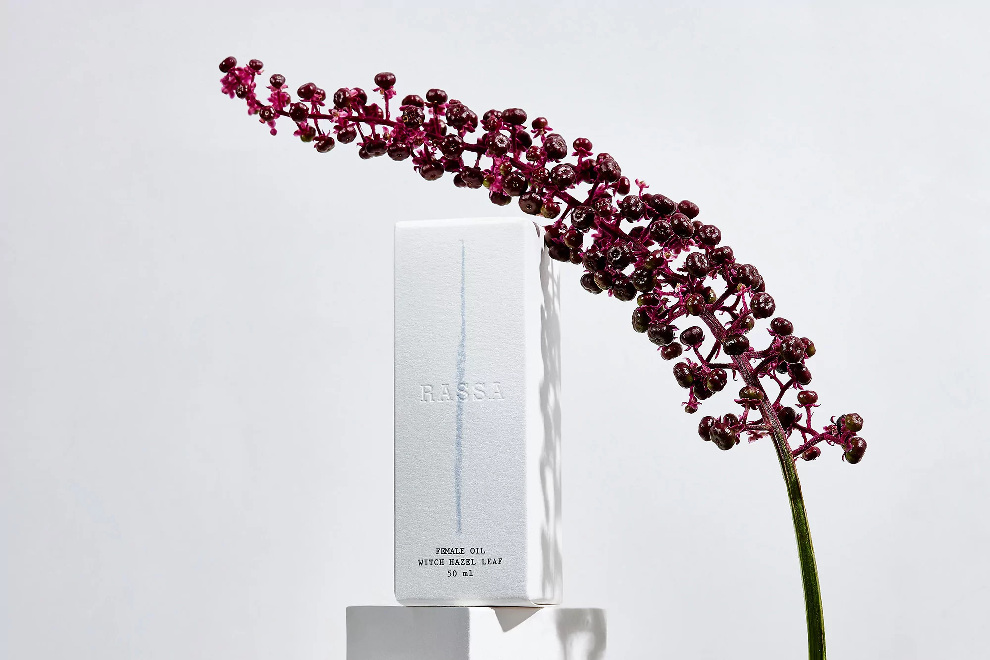 Product shot of skin oil in a white box, styled with a stem of dark purple berries, set against a solid white background.