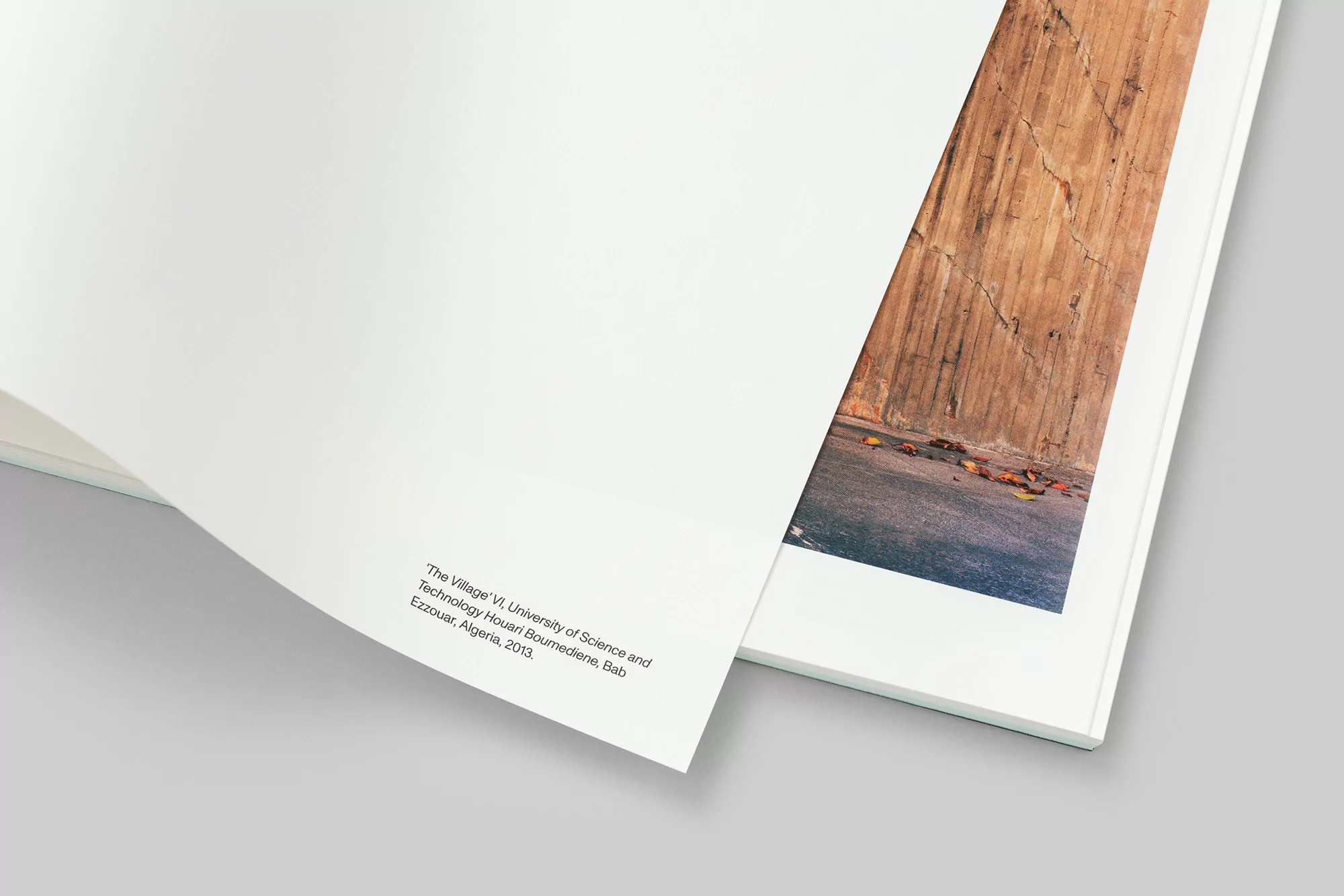 Open book layout showing a white page with text next to a photographic print of a textured pillar against a grey background