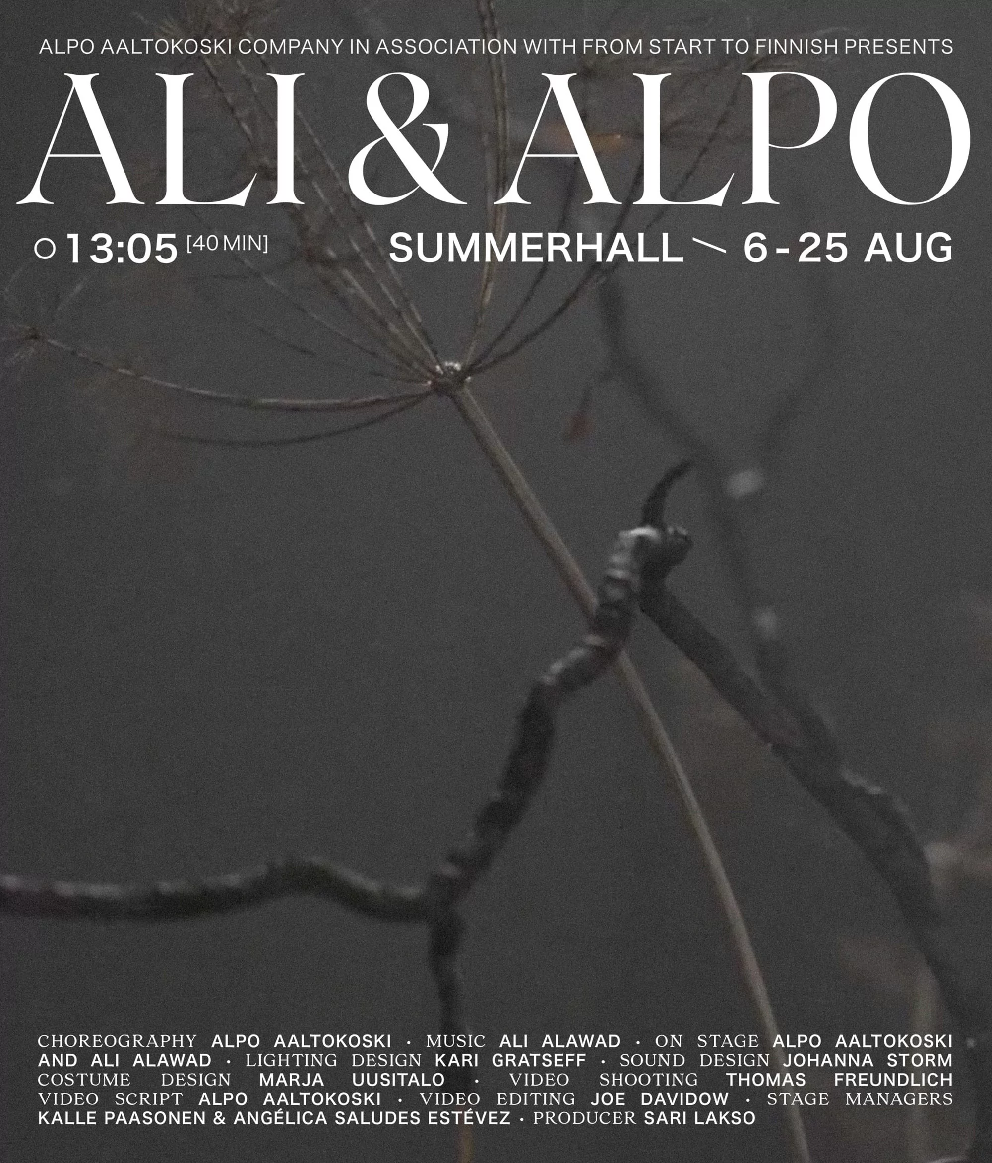 Poster promoting 'Ali & Alpo' event at Summerhall, August 6-25, showcasing a close-up of dried plant stems against a dark grey background.