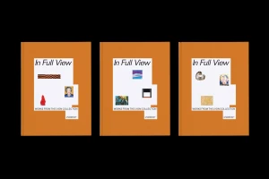 Three orange book covers featuring white cutouts and typography titled In Full View against a black background