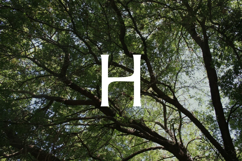 Brand Identity