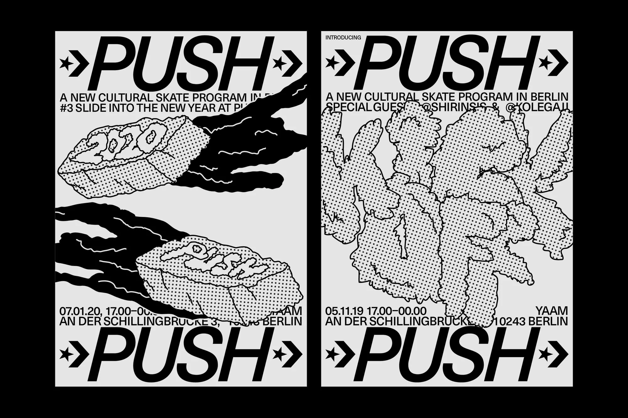 Two posters for a cultural skate program with the word 'PUSH' prominently displayed, along with stylized graphics and event details.