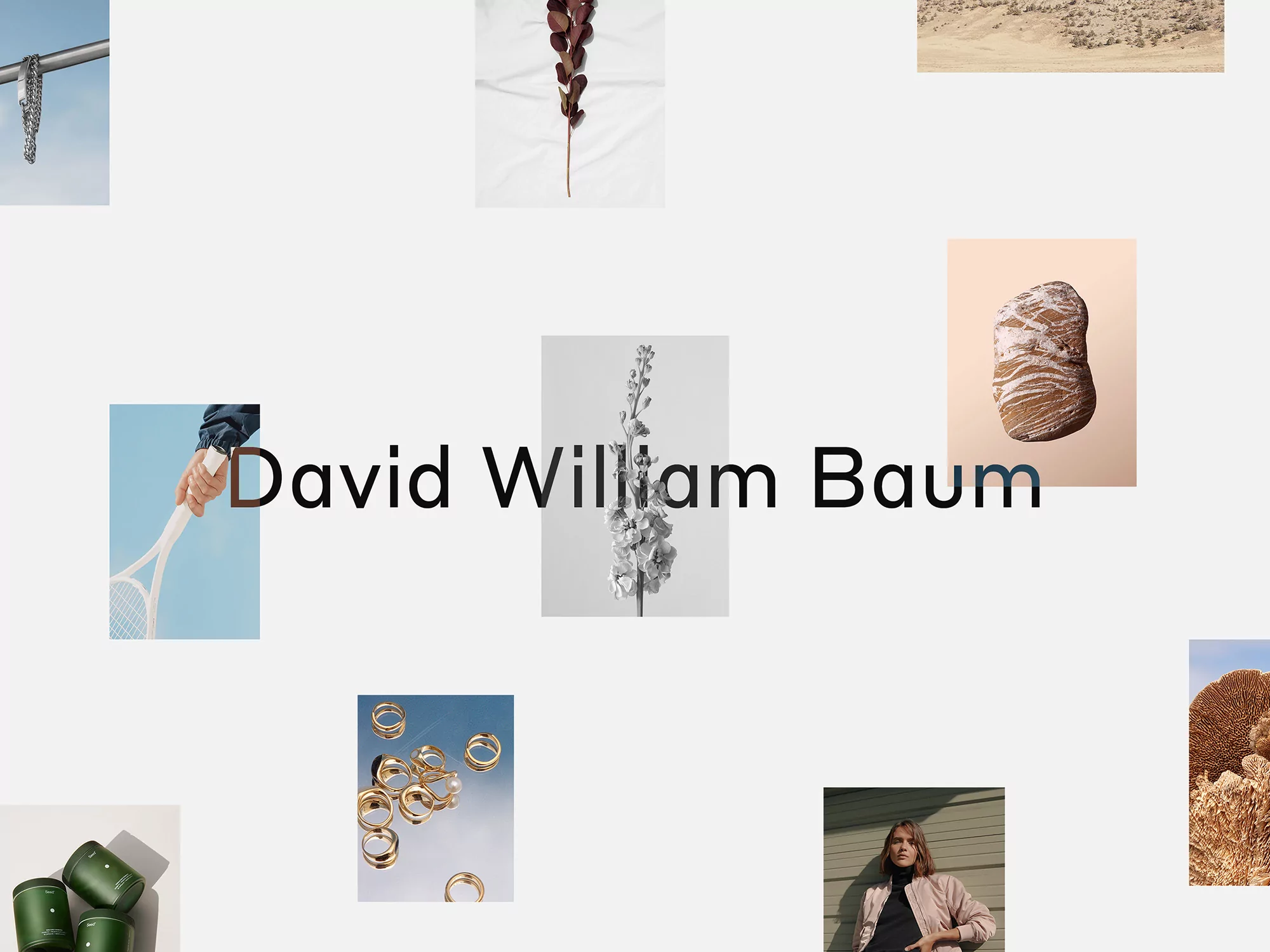 Collage of still life images on a white background with the text 'David William Baum', featuring objects like plants and jewelry.