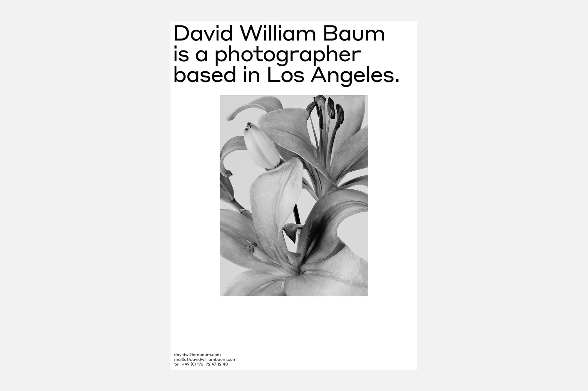 Monochrome image of lily flowers in bloom, displaying intricate petal details in a vertical composition.