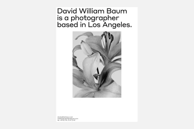 Monochrome brand identity layout featuring centered typography and a black-and-white lily flower photograph