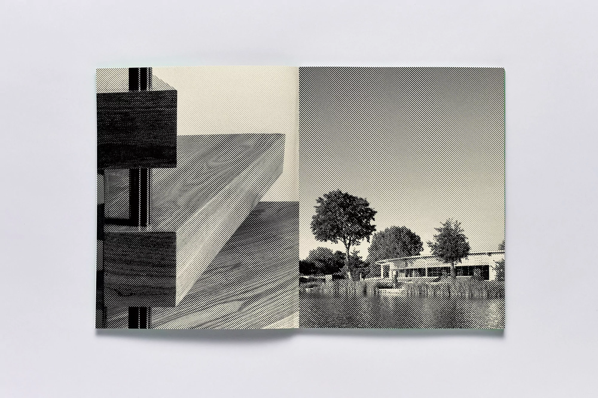 Monochrome architectural shot of stairs and a building near a lake with trees in the background, creating a visually striking contrast.