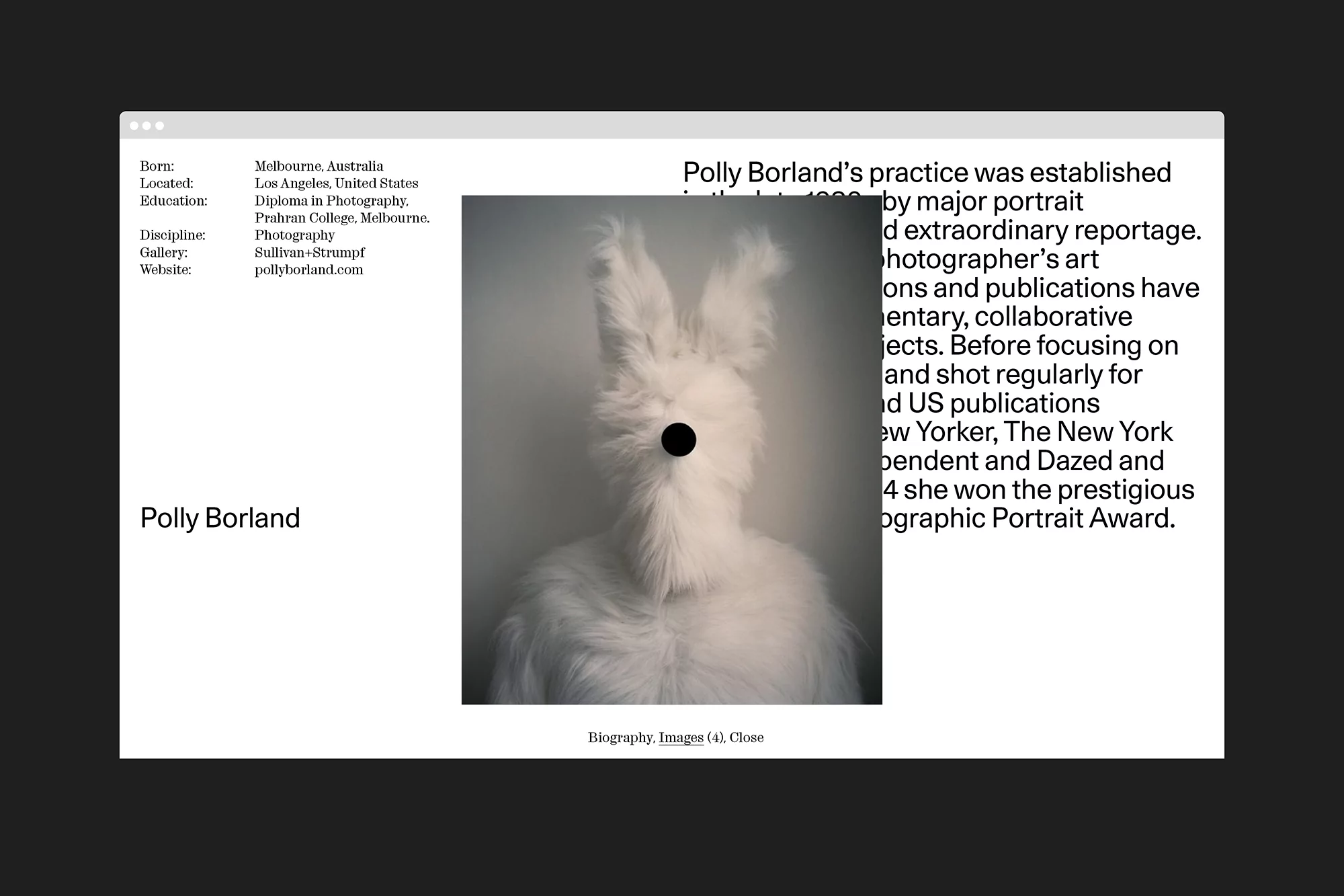 Website screenshot featuring Polly Borland's biography and a portrait of a person in a furry white rabbit costume.