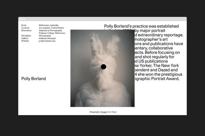 Website screenshot featuring Polly Borland's biography and a portrait of a person in a furry white rabbit costume.