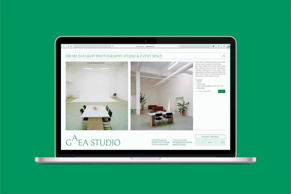 Brand Identity