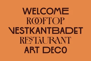 Graphic design typography featuring brown uppercase text on an orange background for Sommerro Hotel brand identity