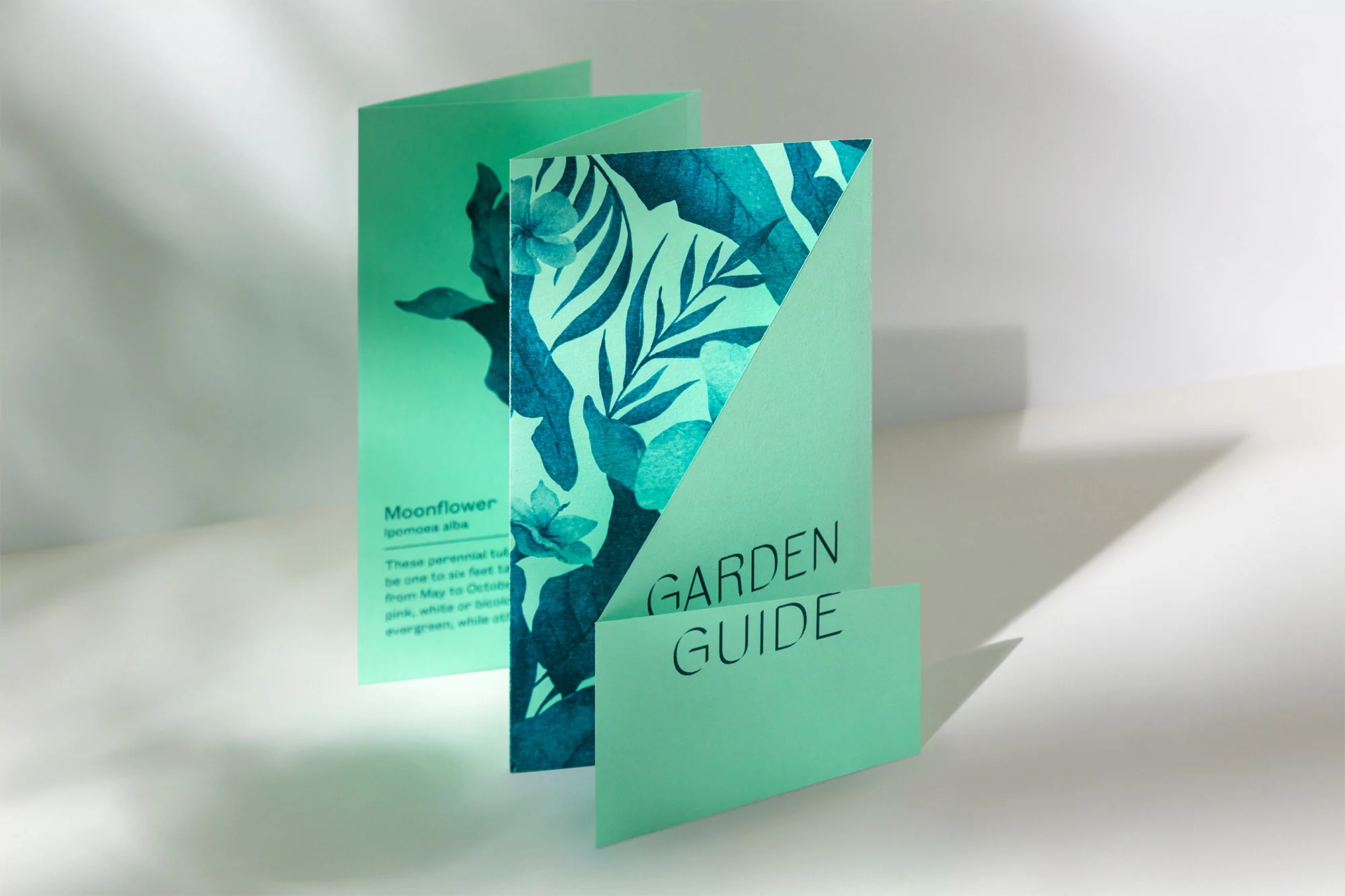 A turquoise-and-teal garden guide pamphlet stands on a white surface, casting light shadows and featuring plant illustrations.