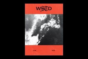 Graphic design poster for Wasted Paris featuring black and white textured imagery flanked by vibrant red blocks and bold typography.