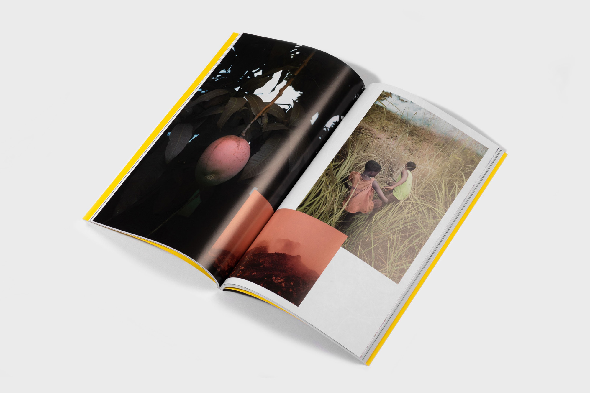 Open magazine on a white background featuring a mango tree photo on the left page and two people in a grassy field on the right page.