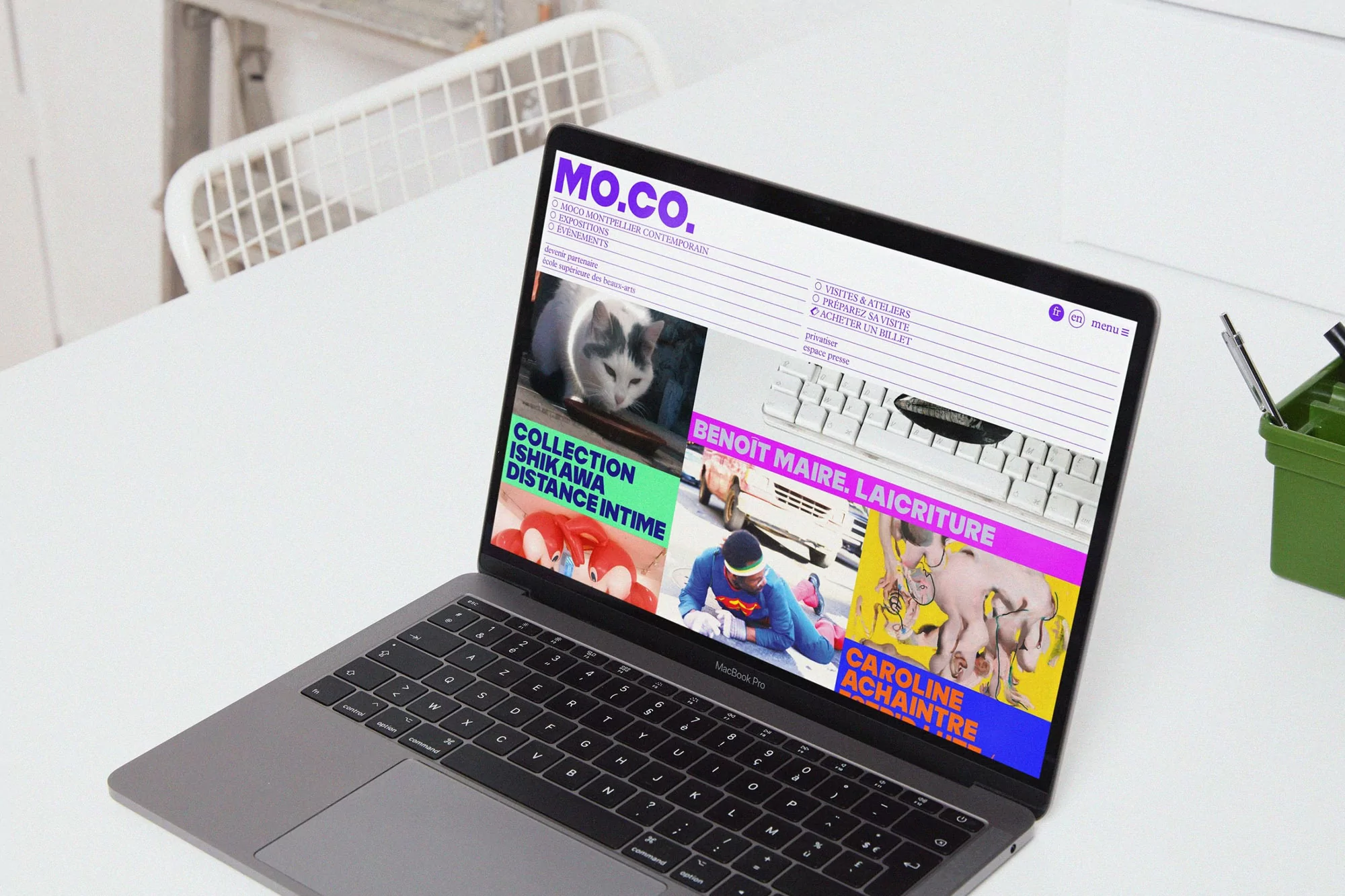 Laptop displaying a website with images of animals, people, and text against a clean, bright white background on a desk surface.