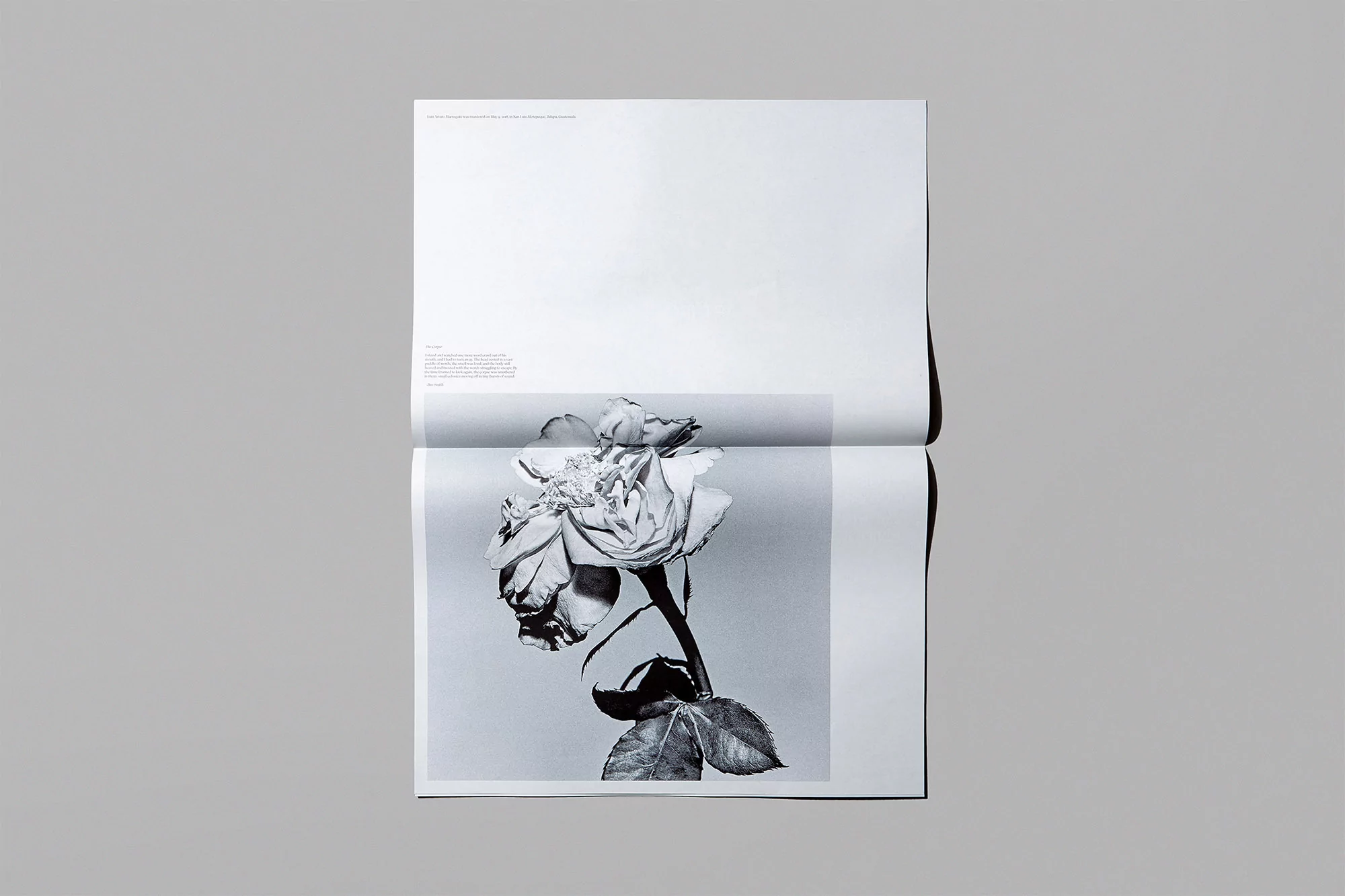 Open publication spread featuring a monochrome botanical rose photograph centered on a light grey paper background