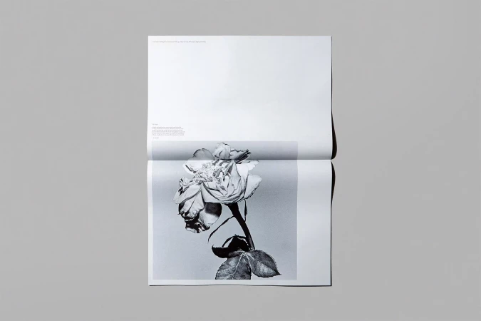 Open publication spread featuring a monochrome botanical rose photograph centered on a light grey paper background
