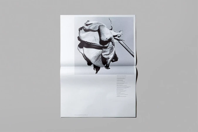Brand Identity