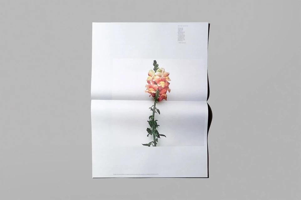 Brand Identity