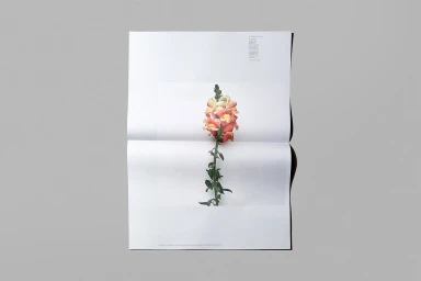Folded printed paper sheet featuring a photograph of a single pink and yellow snapdragon flower centered against a plain white background.
