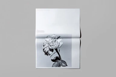 Open publication spread featuring a monochrome botanical rose photograph centered on a light grey paper background