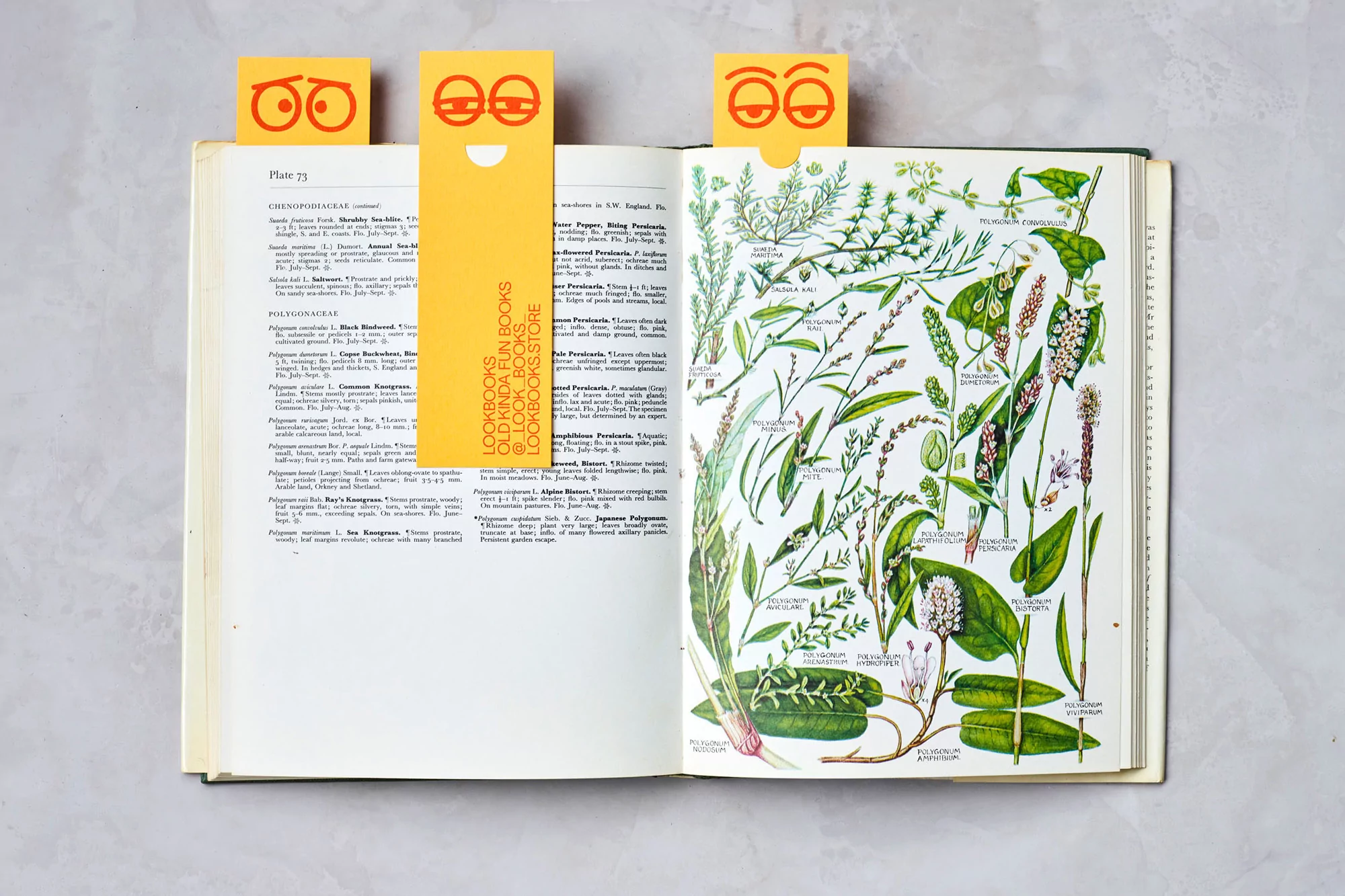 Open book featuring plant illustrations with three yellow bookmarks displaying cartoon eyes and a smile, minimalist and fun.