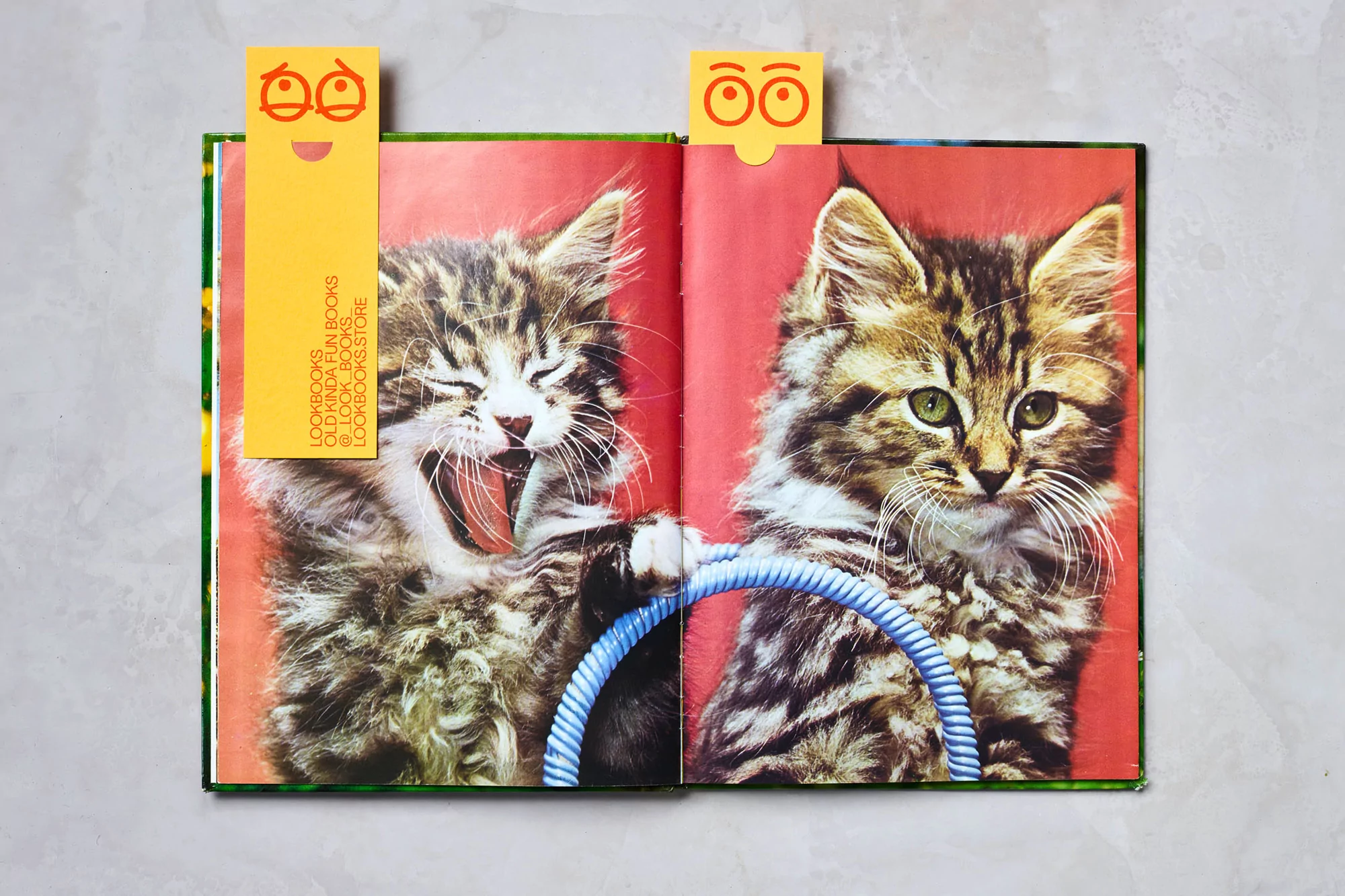 Open book featuring two fluffy kittens and decorative yellow bookmarks on a white marble surface in soft lighting.