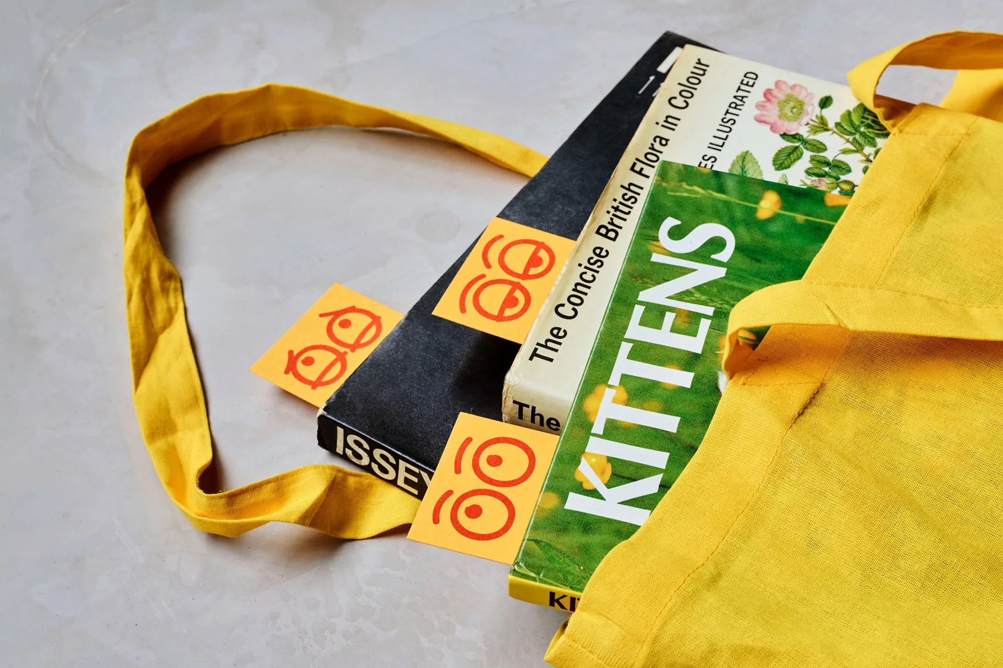 Books with attached cartoon eyes in a yellow tote bag. Includes titles like 'The Concise British Flora in Colour' and 'Kittens'.